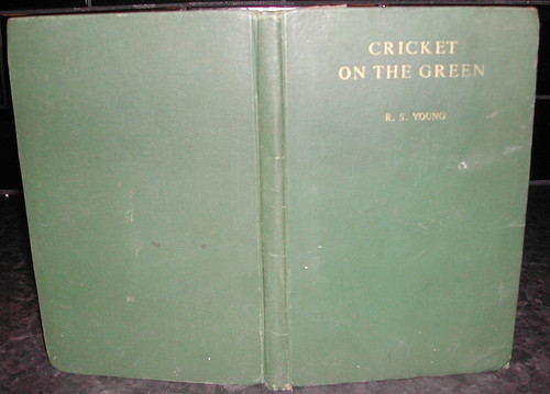 Fry prowess cricket - c,