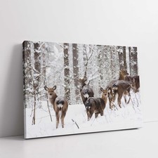 deer in a snow covered forest