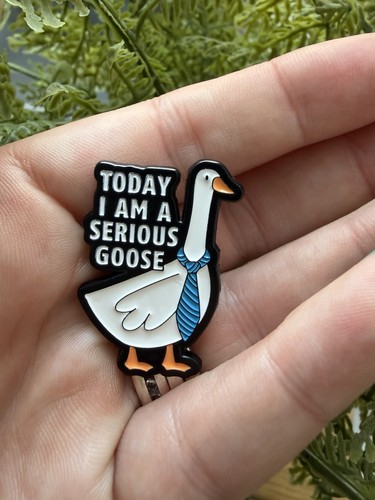 Today serious goose - serious,