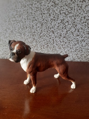 Border fine arts dogs - border, pups