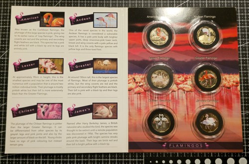 Pobjoy flamigos coin set - coin,