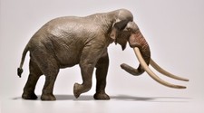 Palaeoloxodon (Straight Tusked