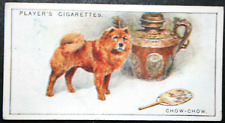 CHOW CHOW   Edible Dog    Vintage 1925 Illustrated Card  FE04M