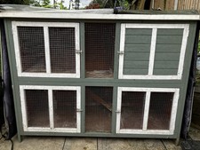 Pets at Home Bluebell Guinea