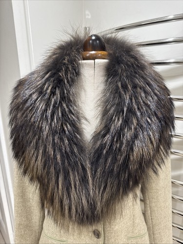 Soho furrier racoon - racoon, collar