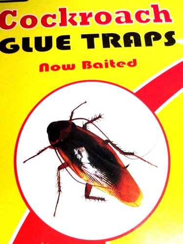 6xsticky cockroach killer trap - 6xsticky, killer/trap