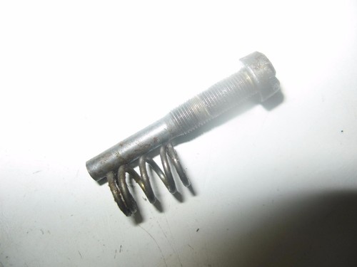 Carburetor adjuster scew - scew, /