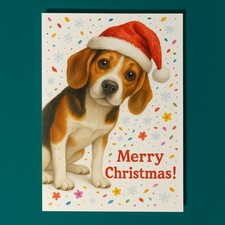 Beagle Dog - Don’t Look Away