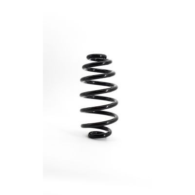 Apec rear left coil spring - coil,