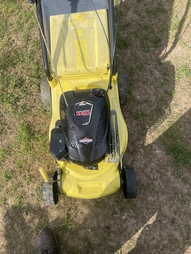 Briggs stratton petrol - &,