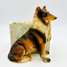 Collie Dog Against Fence