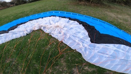 Gin pegasus paraglider - gin, 2