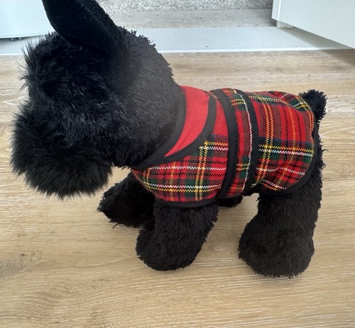 Scottish terrier scottie - scottish, “scottie”