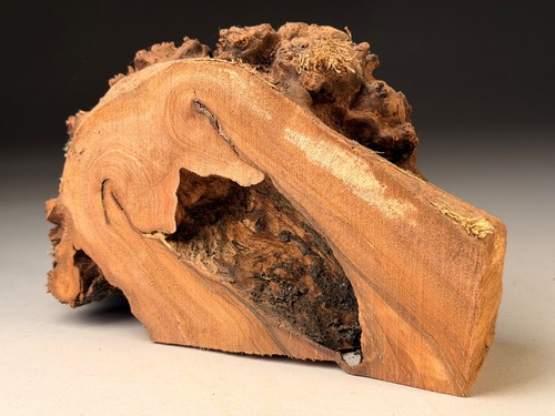Spalted burr elm - spalted, edge