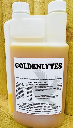 Goldenlytes 1000ml racing - goldenlytes,