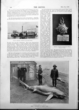 Old Shark Gen Gordon Nile Boat