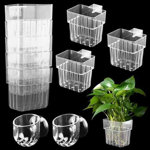 Pack aquarium plant - aquarium, holder