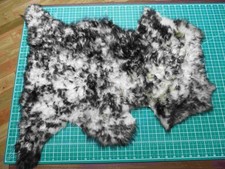 Cream / Black Soft Curly