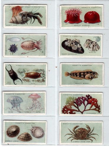 Hignett common objects - hignett:, of