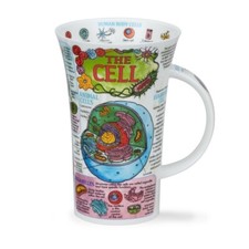 Dunoon THE CELL Glencoe Shape