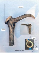 Fallow Deer Antlers