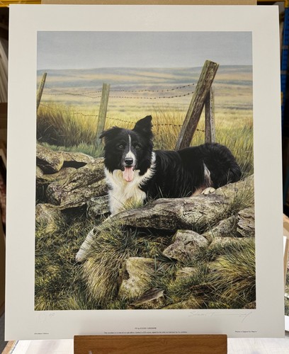 Steven townsend pip border - townsend,
