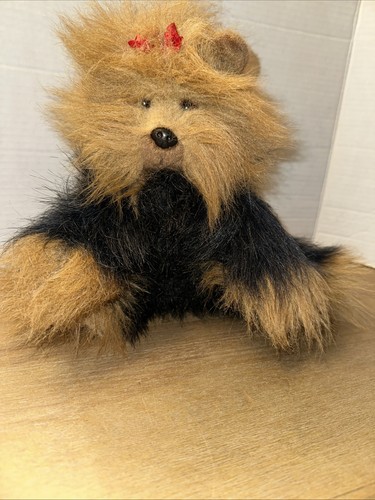 Classic yappy yorkie - ty,