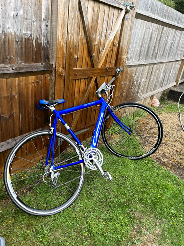 Carrera gryphon road bike - carrera,