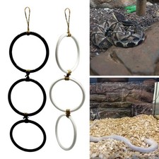 Snake Climbing Rings Corn