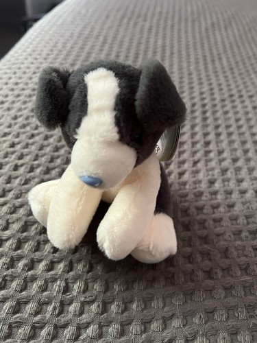 Blue nose friends - my,