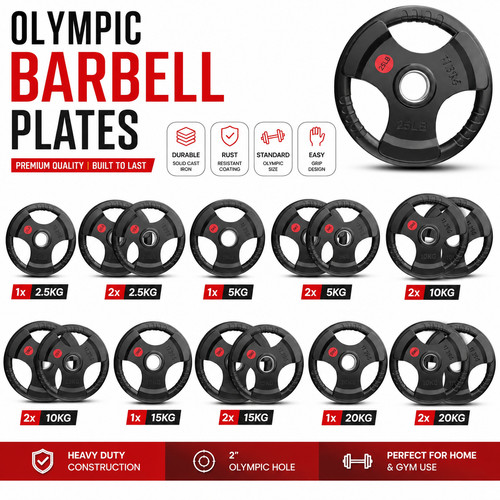 Olympic weight plates pair - olympic,