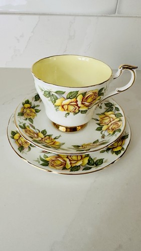 Paragon harry wheatcroft - harry,