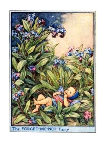 Flower fairies vintage image - flower,