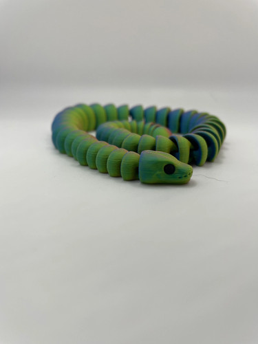 Baby ball python - ball, snake