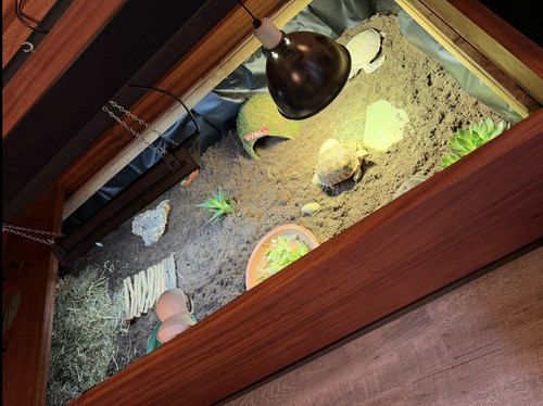 Wooden reptile pet enclosure - reptile/,