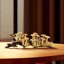 Wooden Mushroom Wall Art