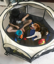 Foldable Soft Fabric Dog Crate Cat Cage Pet Portable Travel Puppy Play Pen Tent