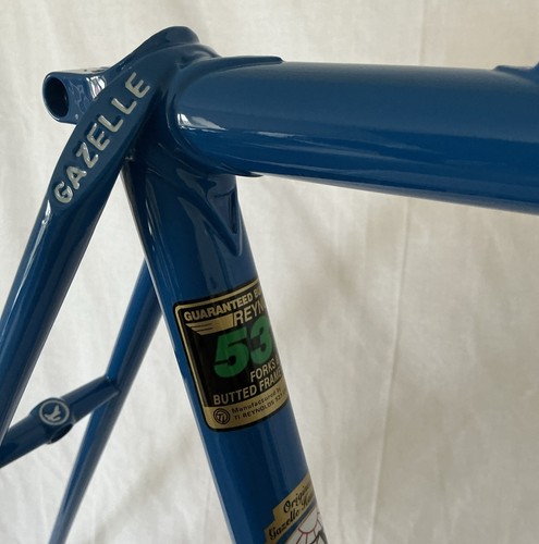 Gazelle champion special - special, aa