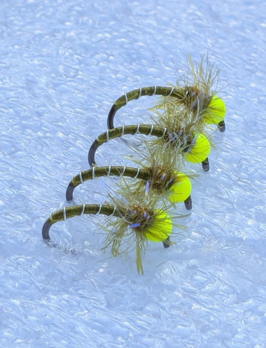 Olive beaded trout - 4, buzzers
