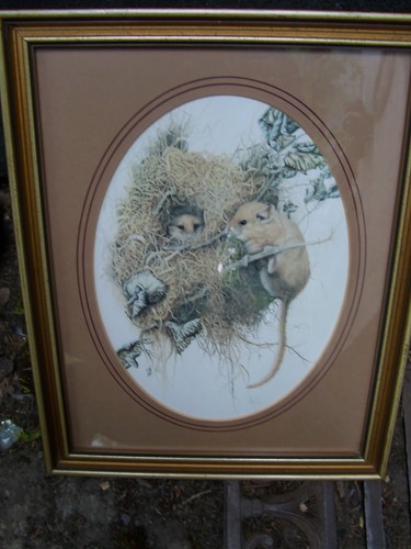 Framed field mice print - mice, print.