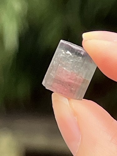 Watermelon tourmaline fine - tourmaline,