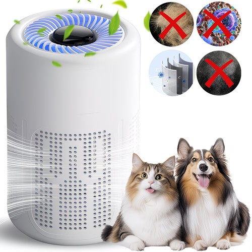 Home air purifiers - home,