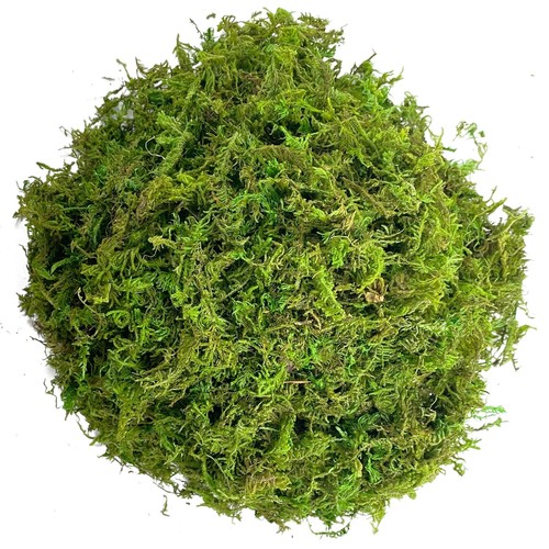 Artificial moss simulation - artificial,