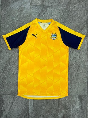 Yorkshire vikings cricket - yorkshire,