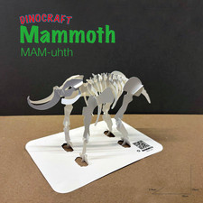 DINOCRAFT 10: Mammoth | 3D