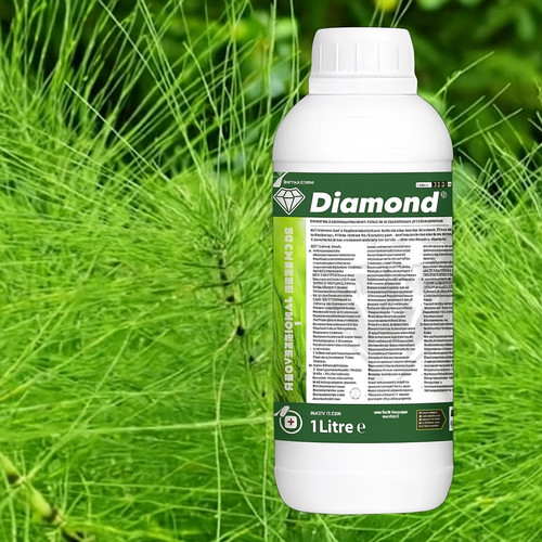 Diamond horse tail - weed, killer