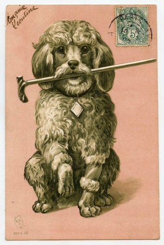 Dog poodle cane embossed - cane,