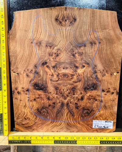 Elm burl guitar - elm, top