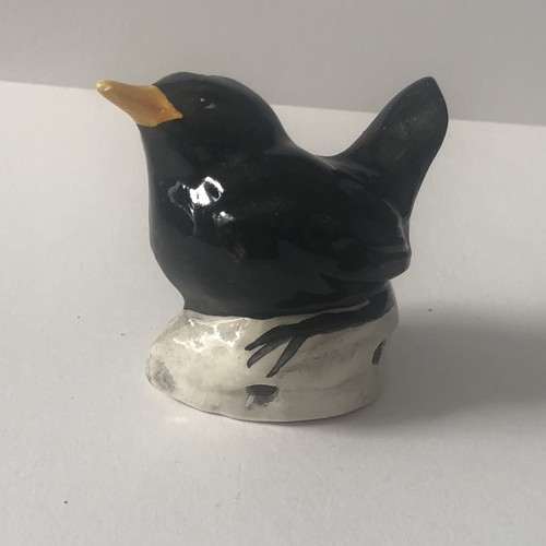 Rare pie funnel blackbird - -,