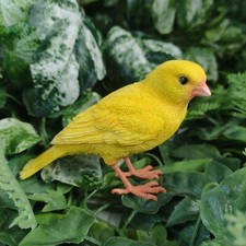 Vivid Arts Realistic Canary